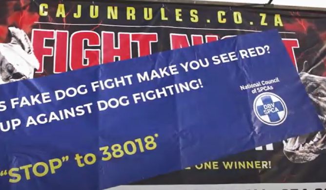 NSPCA Dogfight Project